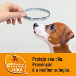 Post 12